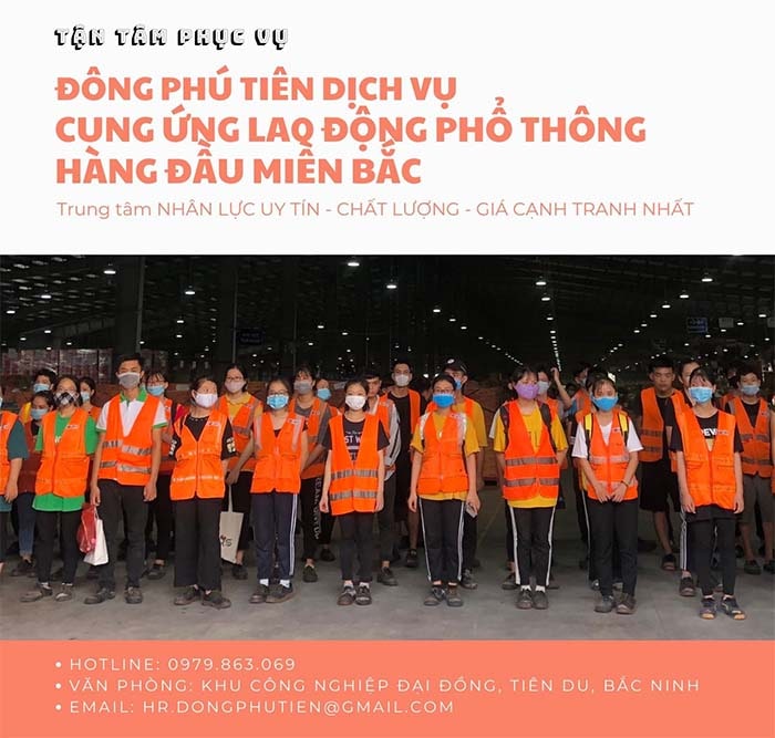 cung cấp lao động phổ thông