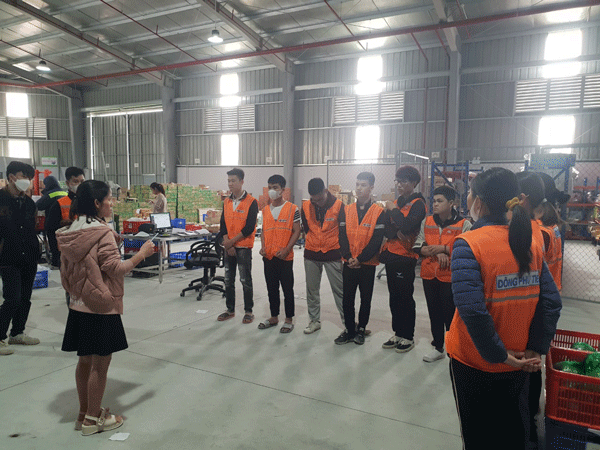 Bảng giá cho thuê lao động thời vụ của Đông Phú Tiên