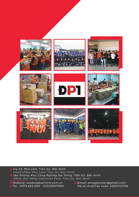 Laodongtachfile hinh anh 0